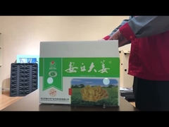 Caixa de vegetais de papelão oco