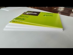 Placas ocas de plástico