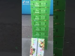 Caixa de frutas e vegetais