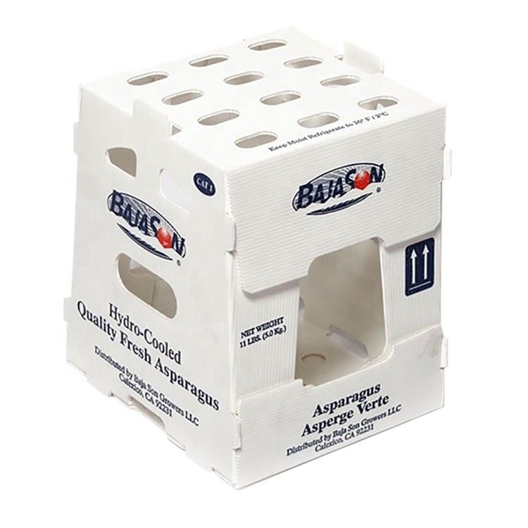 OEM fábrica produzir caixa corrugada de plástico PP para milho doce fresco brócolis berinjela caixa de gengibre