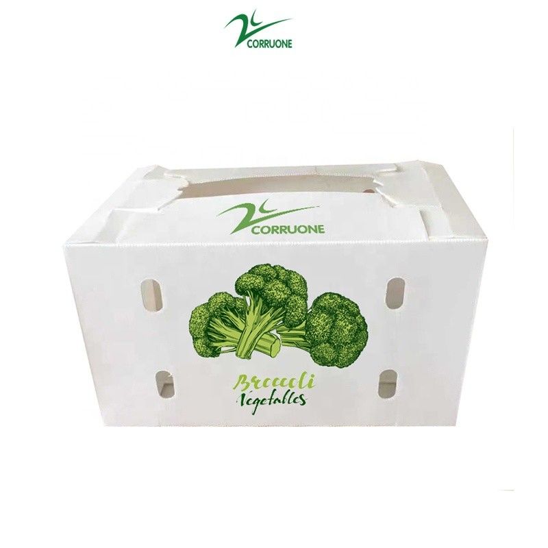 Customize Eco-friendly cartão de plástico corrugado para brócolis e de milho caixa Correx brócolis de milho e agricultura embalagem