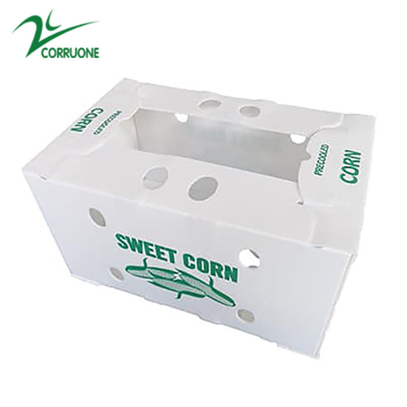 Customize Eco-friendly cartão de plástico corrugado para brócolis e de milho caixa Correx brócolis de milho e agricultura embalagem