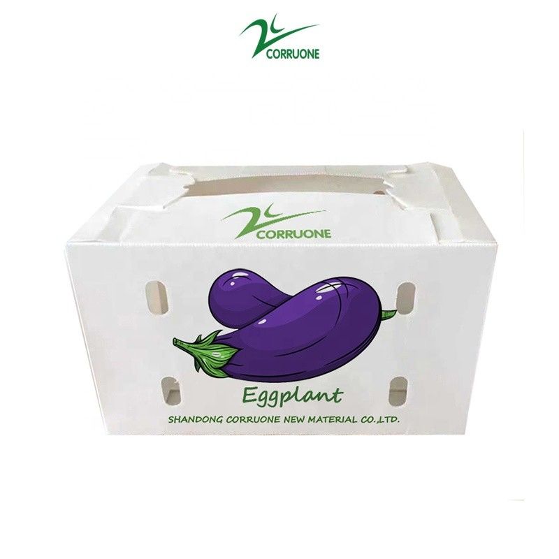 Customize Eco-friendly cartão de plástico corrugado para brócolis e de milho caixa Correx brócolis de milho e agricultura embalagem