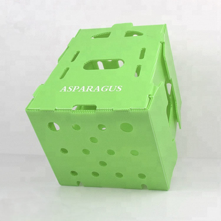 Customize Eco-friendly cartão de plástico corrugado para brócolis e de milho caixa Correx brócolis de milho e agricultura embalagem
