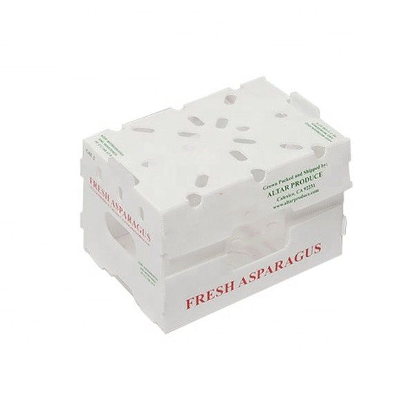 Caixa de frutas Correx Caixa de plástico corrugado de PP para vegetais e agricultura Caixa de embalagem