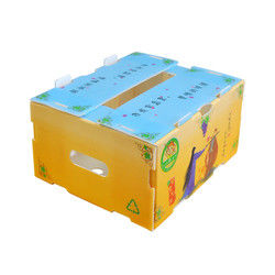 Caixa de frutas Correx Caixa de plástico corrugado de PP para vegetais e agricultura Caixa de embalagem