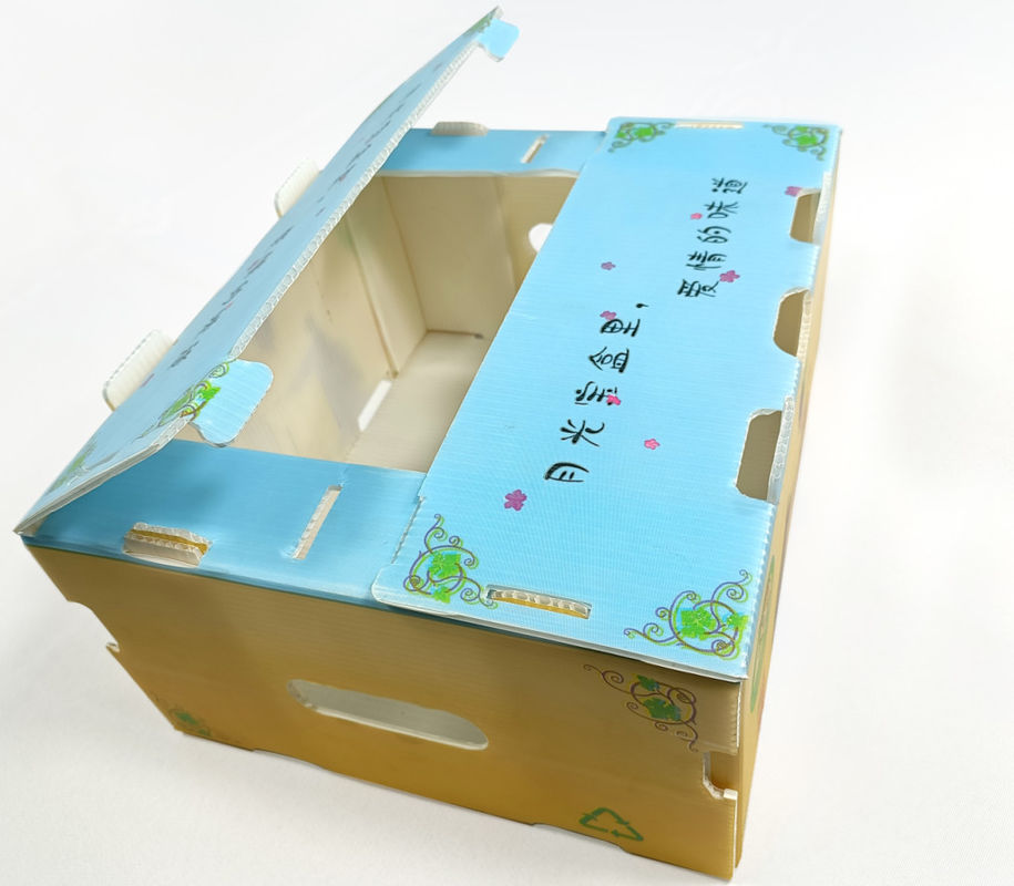 Embalagens de frutas e legumes em papelão de papelão de plástico em papelão de papelão de papelão de papelão de papelão de papelão de papelão