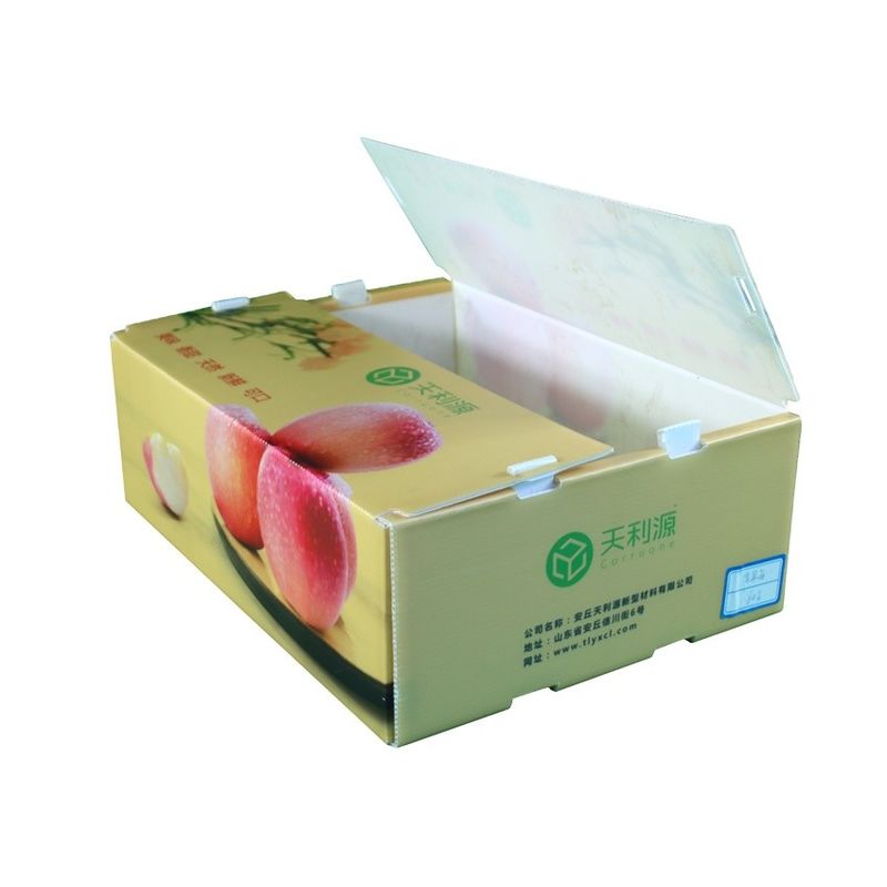 Embalagens de frutas e legumes em papelão de papelão de plástico em papelão de papelão de papelão de papelão de papelão de papelão de papelão