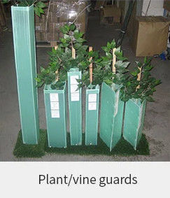 protetores do tronco de Green Plastic Tree do protetor da árvore de 1.5mm PP Corflute