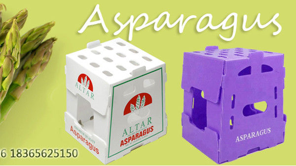Embalagens personalizadas de frutas e vegetais Caixa de plástico ondulada Caixas de embalagem de PP de armazenamento ondulado