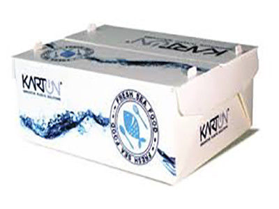 Corruone PP polipropileno 5 KG & 10 KG Custom impermeável Carne congelada ou frutos do mar Caixas de embalagem de frutos do mar Caixa de plástico corrugado
