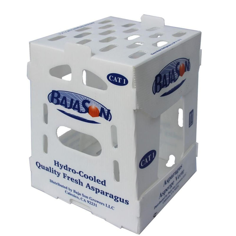 caixas plásticas de 5mm 6mm Correx PP para frutas e legumes