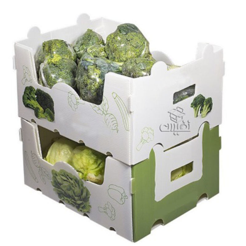 caixas plásticas de 5mm 6mm Correx PP para frutas e legumes
