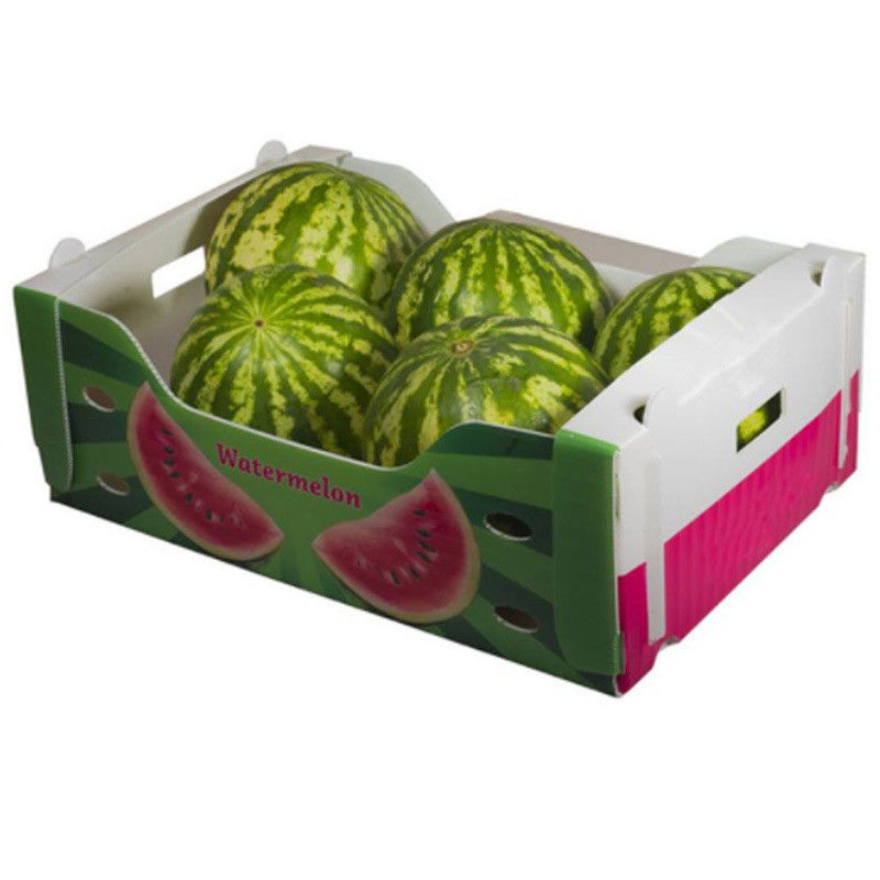 caixas plásticas de 5mm 6mm Correx PP para frutas e legumes