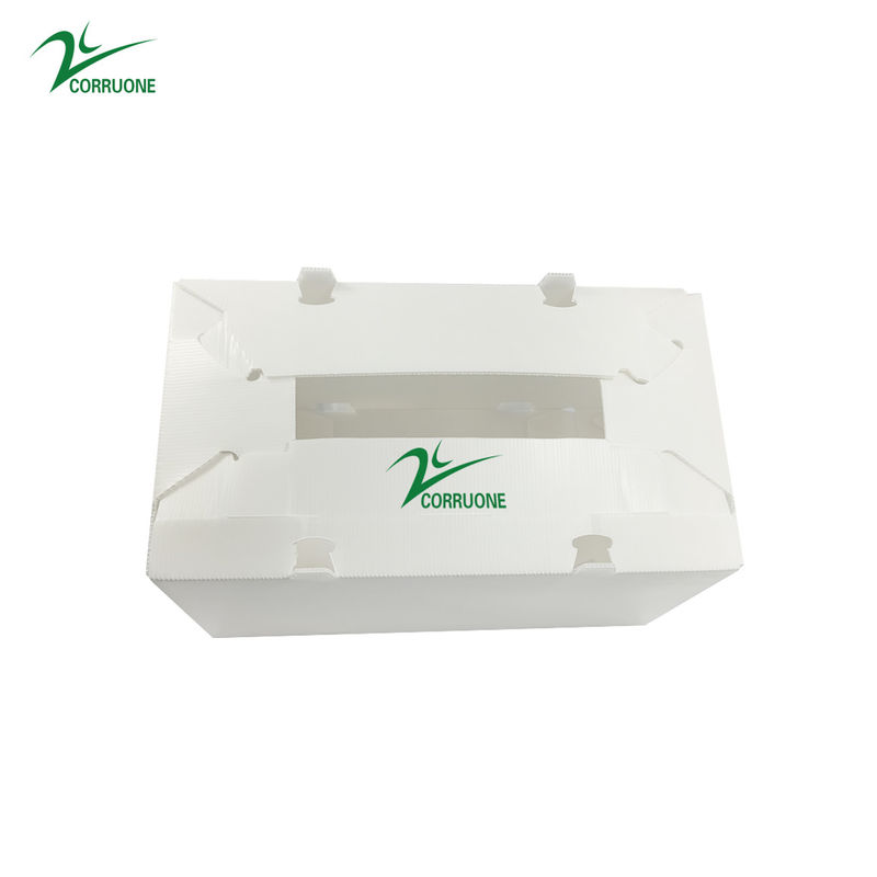 O produto plástico ondulado dos espinafres encaixota caixas de armazenamento de 2mm Corflute