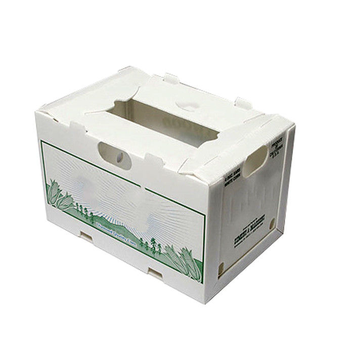 o milho de 3.5mm corrugou caixas moventes plásticas Matt Lamination Printing
