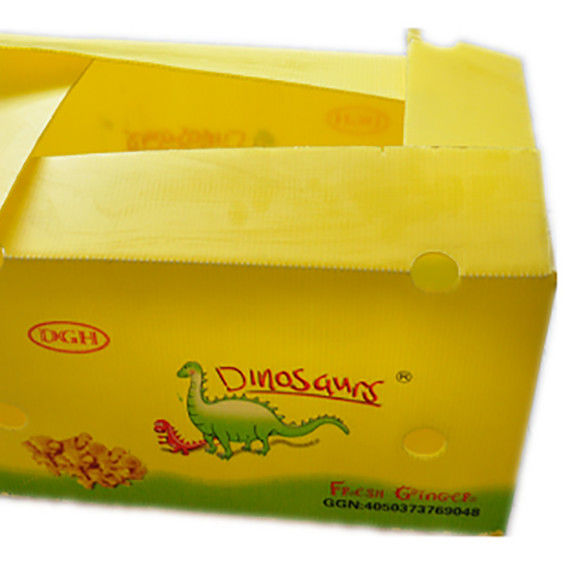 Embalagens de frutas e legumes em papelão de papelão de plástico em papelão de papelão de papelão de papelão de papelão de papelão de papelão