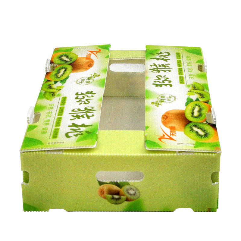 Coroplast feito sob encomenda encaixota as caixas onduladas vegetais para a pimenta vermelha
