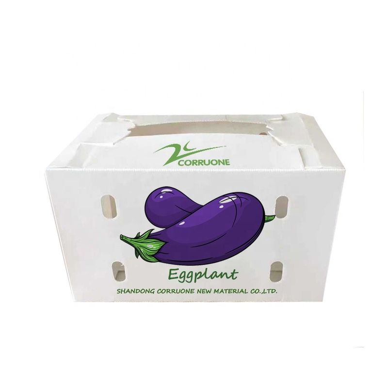Caixa ondulada do favo de mel das caixas de armazenamento de Corflute dos brócolis para frutos