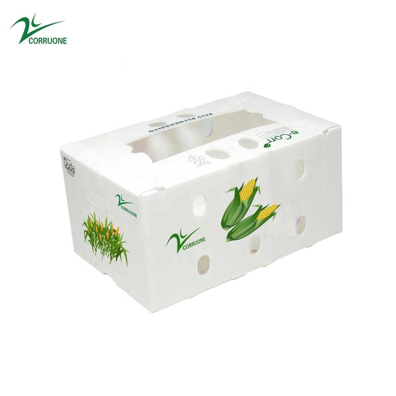 Caixa ondulada do favo de mel das caixas de armazenamento de Corflute dos brócolis para frutos