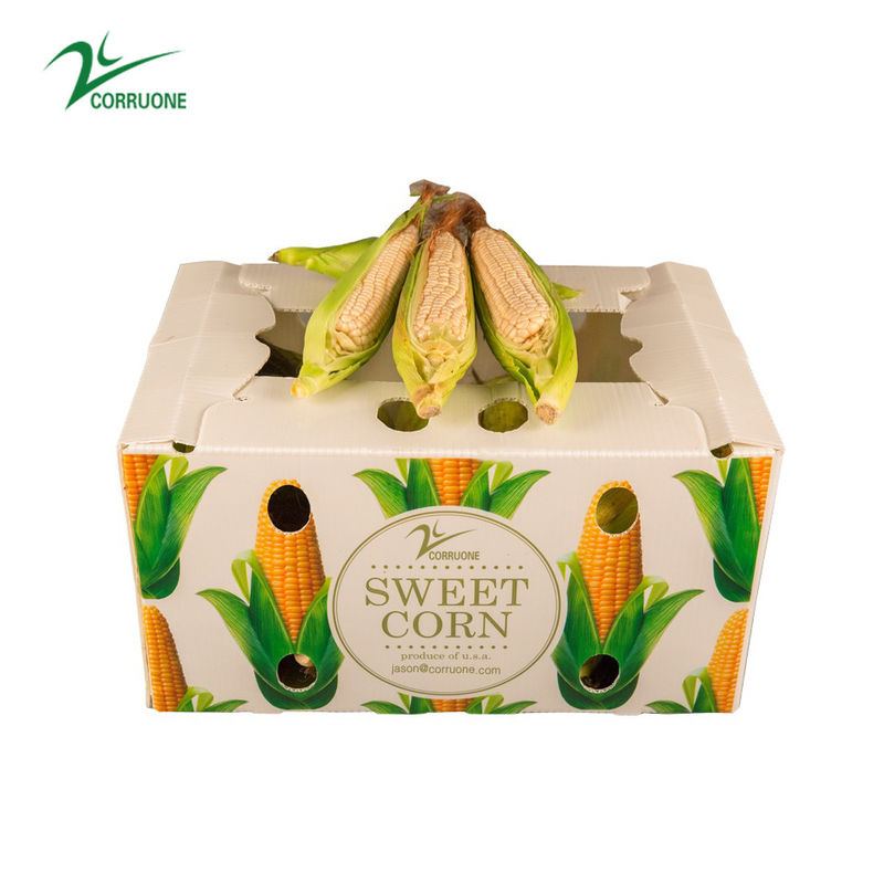 Corruone Caixa de embalagem impermeável de polipropileno corrugado de plástico frutas e vegetais Espargos/Gengibre/Taro/Okra