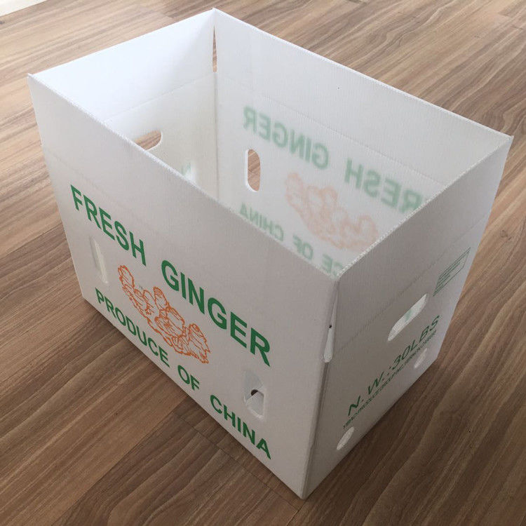 Embalagens de frutas e legumes em papelão de papelão de plástico em papelão de papelão de papelão de papelão de papelão de papelão de papelão
