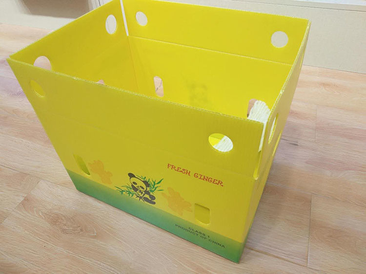 a caixa ondulada Cartonplast da manga de 3.5mm corrugou caixas para o empacotamento do fruto