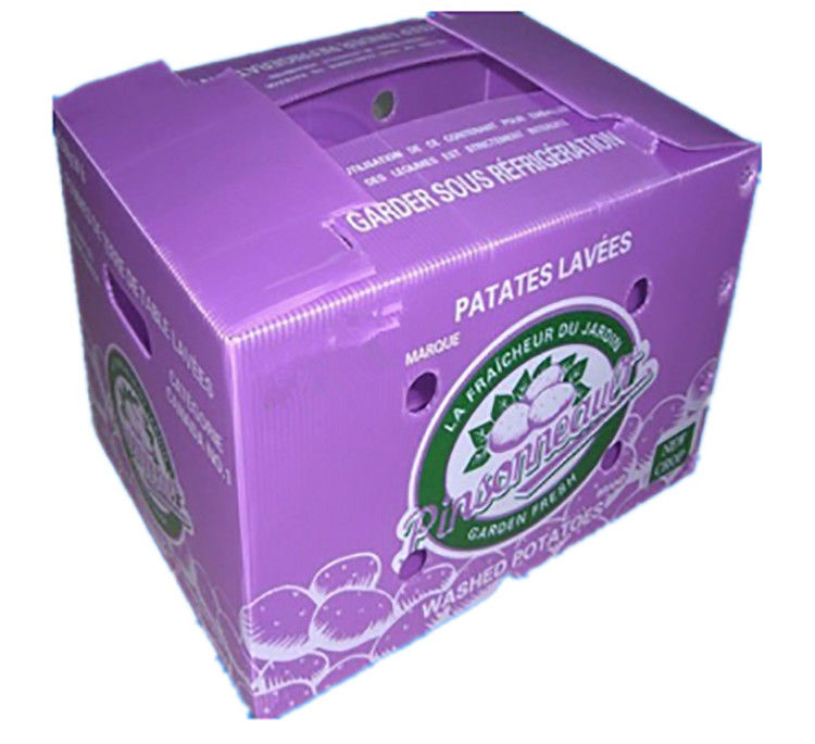 Embalagens de frutas e legumes em papelão de papelão de plástico em papelão de papelão de papelão de papelão de papelão de papelão de papelão