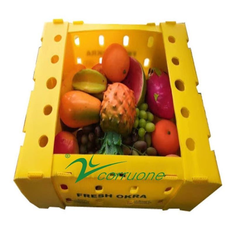 Corruone impermeável Frutas Vegetais Embalagem de PP Cartão de plástico Uvas Caixas de embalagem de plástico Caixas de brócolis Caixa de gengibre ondulada