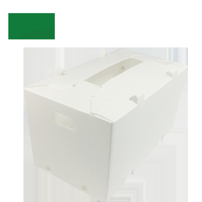 caixas plásticas onduladas dobráveis ocas de Coroplast Correx da caixa de 2mm-11mm