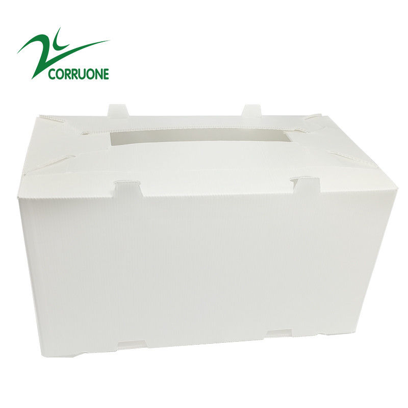 caixas plásticas onduladas dobráveis ocas de Coroplast Correx da caixa de 2mm-11mm