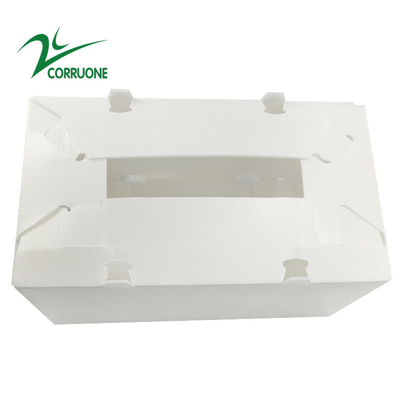 caixas plásticas onduladas dobráveis ocas de Coroplast Correx da caixa de 2mm-11mm