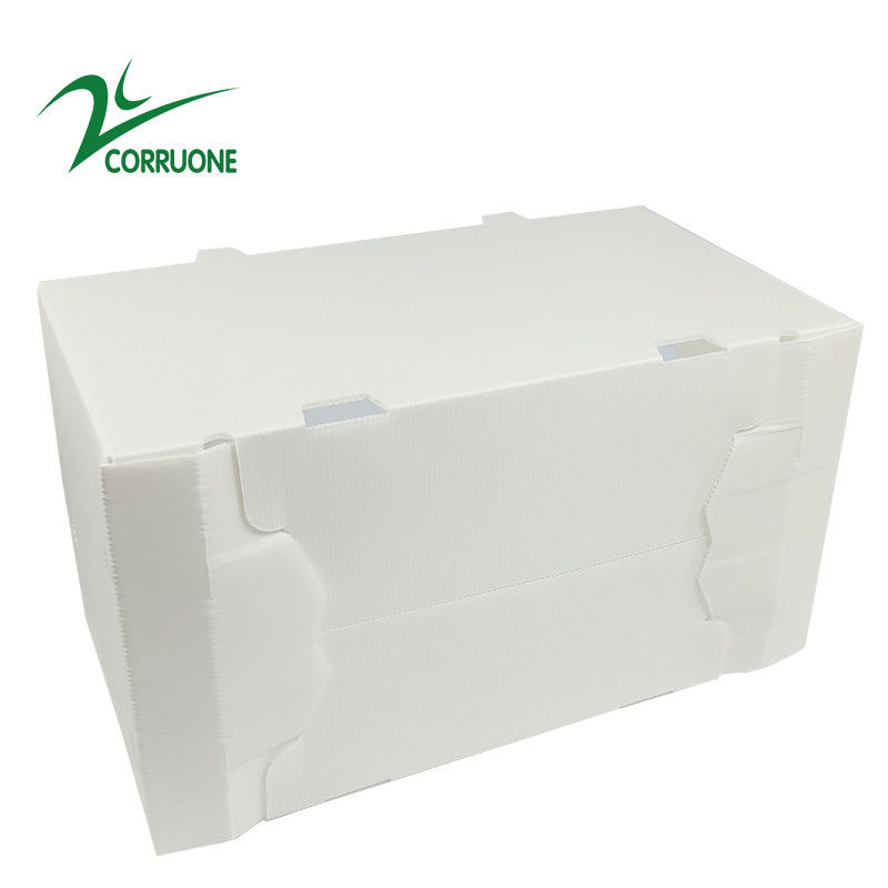 caixas plásticas onduladas dobráveis ocas de Coroplast Correx da caixa de 2mm-11mm