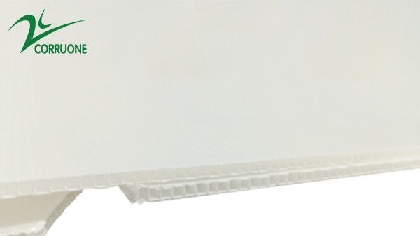 caixas plásticas onduladas dobráveis ocas de Coroplast Correx da caixa de 2mm-11mm
