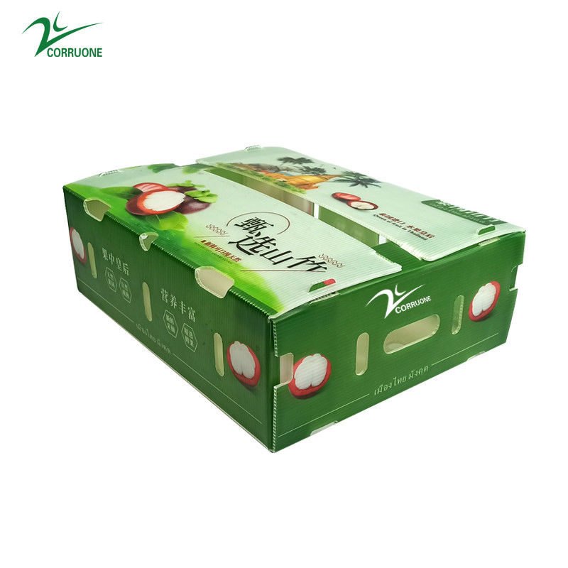 Caixa de plástico corrugado de PP para produtos hortícolas e frutícolas Caixa Corflute correx Caixas de embalagem de brócolis de milho