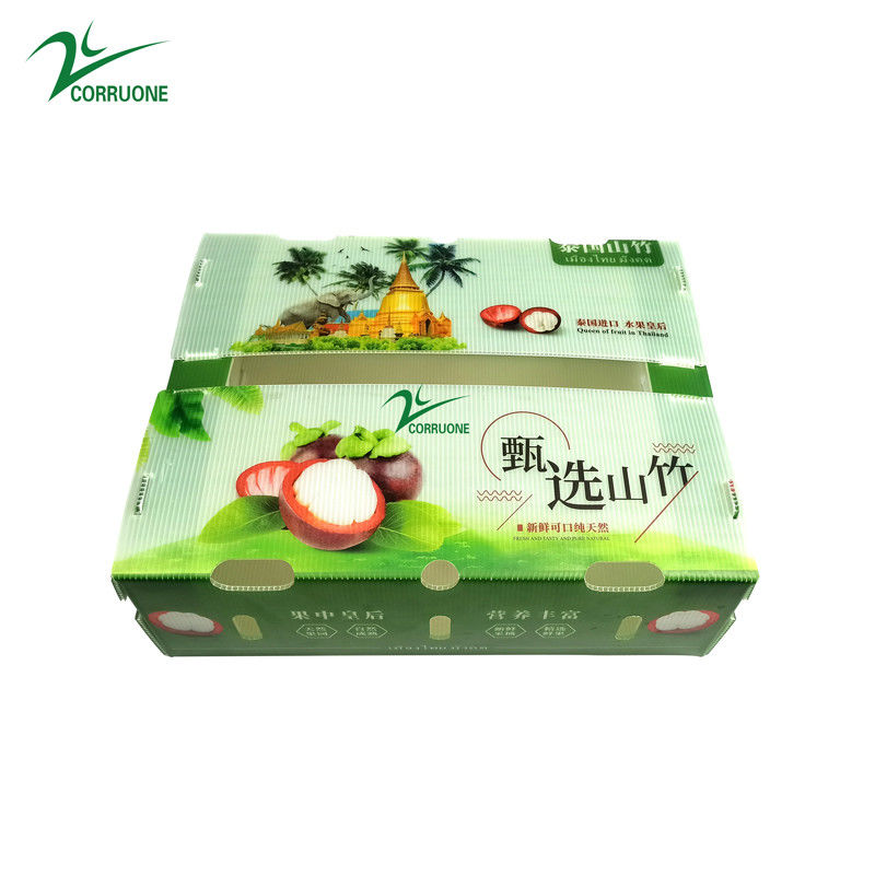 Caixa de plástico corrugado de PP para produtos hortícolas e frutícolas Caixa Corflute correx Caixas de embalagem de brócolis de milho
