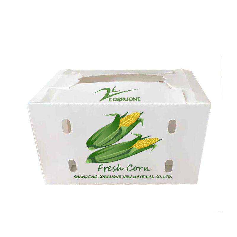 Caixas corrugadas de vegetais para armazenamento ideal protegem seus produtos durante o transporte