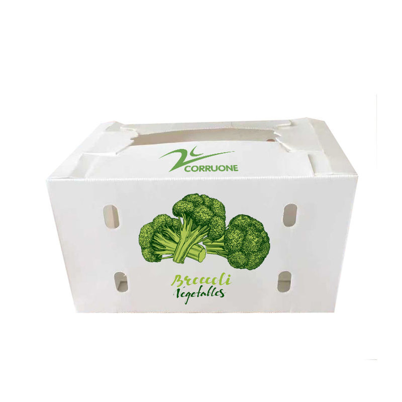 Caixas corrugadas de vegetais para armazenamento ideal protegem seus produtos durante o transporte