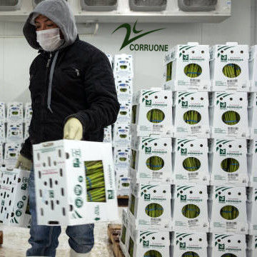 Caixas onduladas de frutas de alto desempenho para embalagens industriais agrícolas ideais