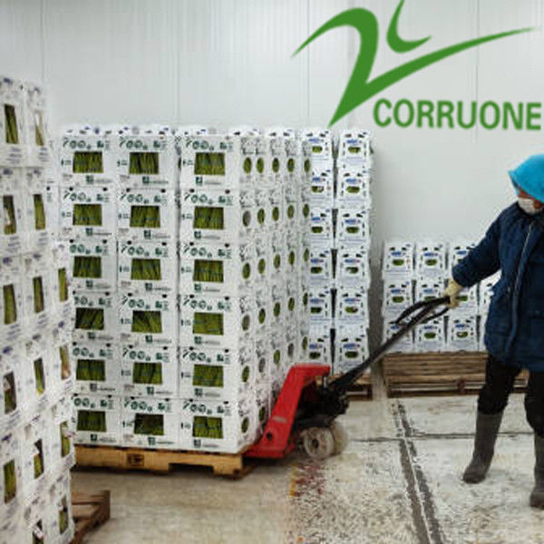 Corriflute preto frutifica caixas onduladas corrugou recipientes de armazenamento plásticos