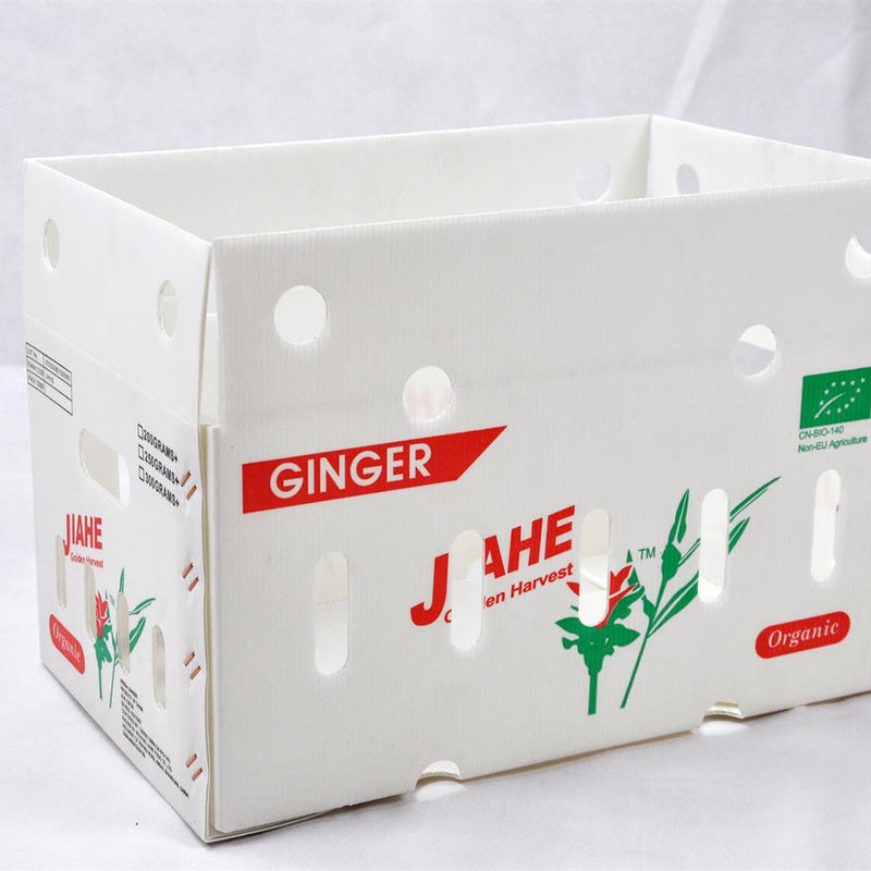 personalizá-lo Collapsible Colorido PP Plástico Correx Corflute Coroplast reciclar frutas e legumes Caixas de armazenamento