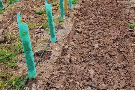 Proteção de árvores de plástico corrugado personalizado feita de material de PP para proteção