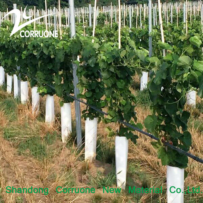 Tubos de plástico corrugado de árvores verdes e recicláveis personalizáveis para plantação sustentável