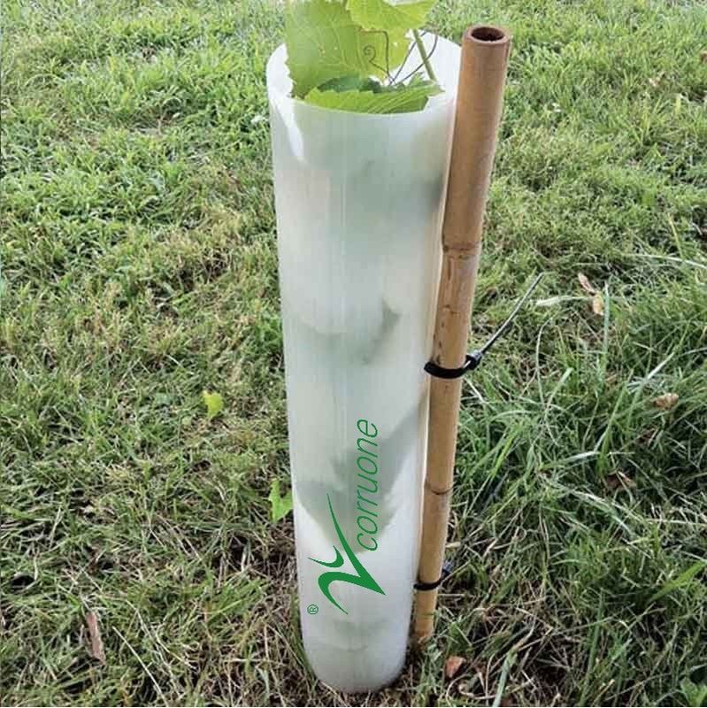 Eco PP corrugou o protetor plástico Green Corflute Guards da árvore impermeável