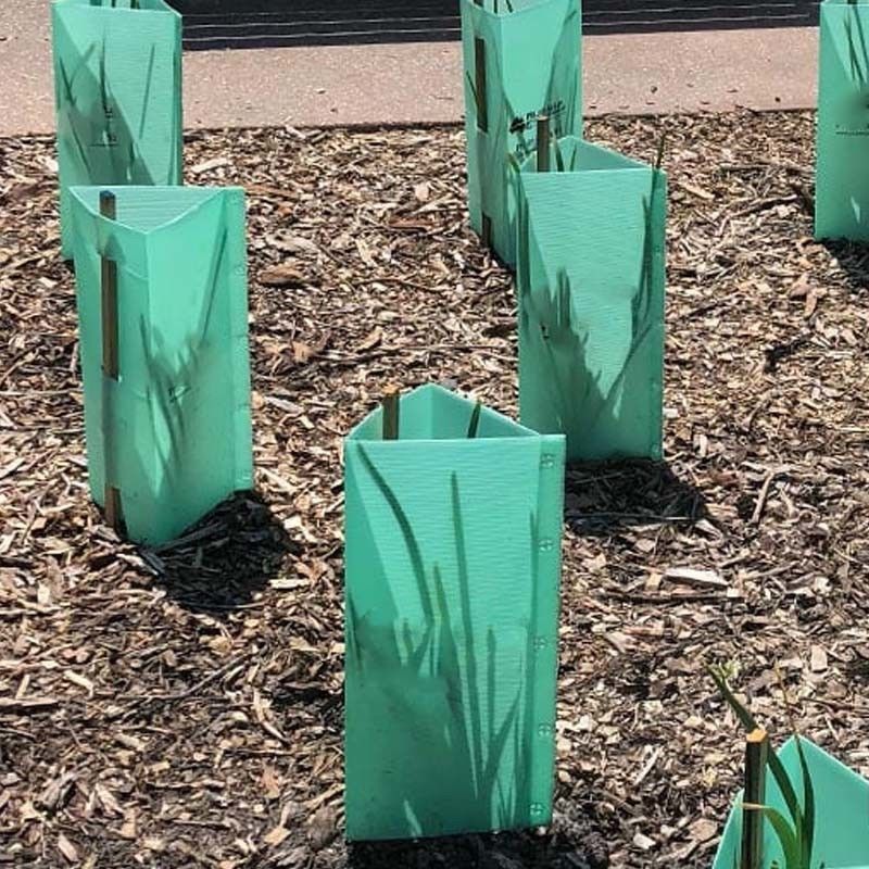 Proteção de árvores de plástico ondulado de superfície plana em cores personalizadas para proteção de plantas