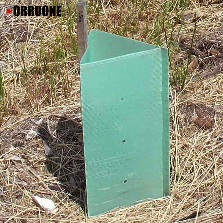 Planta de superfície de PP ÁrvoreSafety Corrugated Board Protege contra animais com confiança
