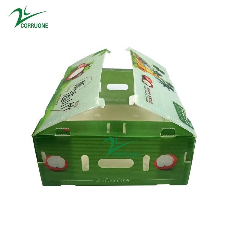 Coroplast Lightweight Board 2mm de espessura 24