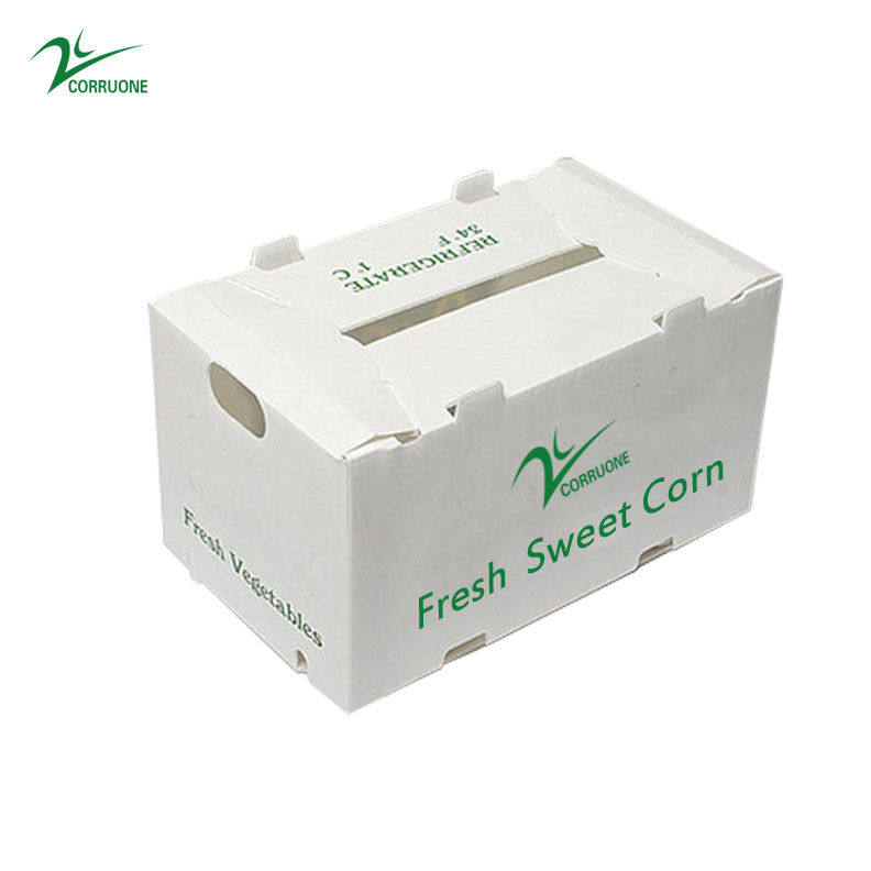 Caixa de armazenamento de plástico PP Caixa de plástico corrugado PP para vegetais, frutas e agricultura Caixa de embalagem