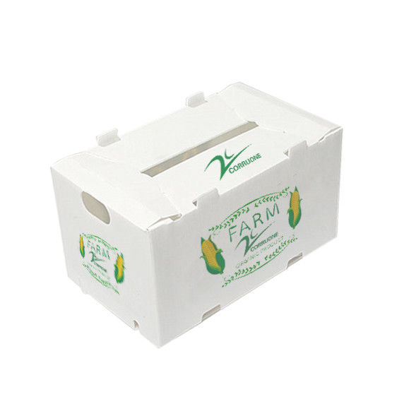 Corruone Caixa de embalagem impermeável de polipropileno corrugado de plástico frutas e vegetais Espargos/Gengibre/Taro/Okra