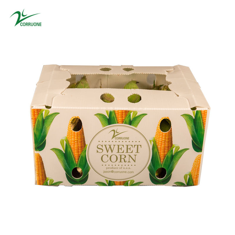 Caixa de armazenamento de plástico PP Caixa de plástico corrugado PP para vegetais, frutas e agricultura Caixa de embalagem